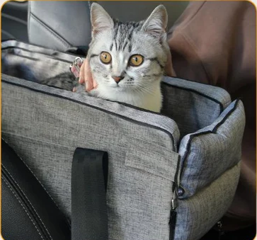 2-in-1 Cozy Car Seat & Bed for pets