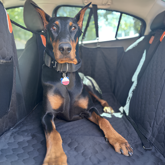 K9 comfort shield™